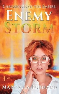 bokomslag Enemy Storm