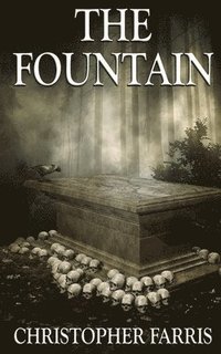 bokomslag The Fountain