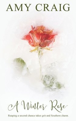 A Winter Rose 1