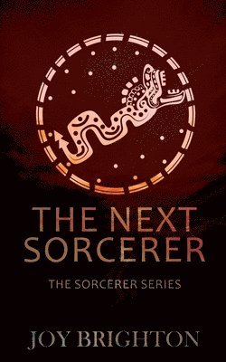 bokomslag Next Sorcerer