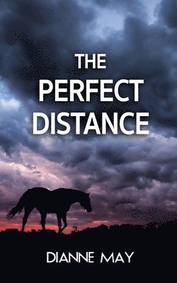 The Perfect Distance 1