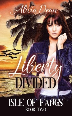 bokomslag Liberty Divided