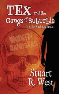 bokomslag Tex and the Gangs of Suburbia