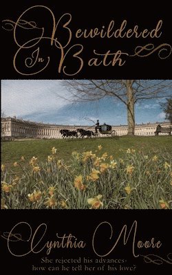 bokomslag Bewildered in Bath
