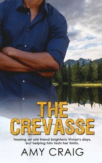 bokomslag The Crevasse