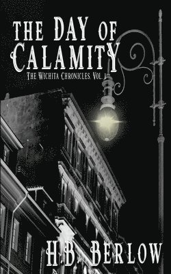 bokomslag Day of Calamity