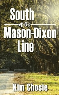bokomslag South of the Mason-Dixon Line