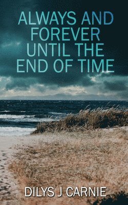 bokomslag Always and Forever Until the End of Time