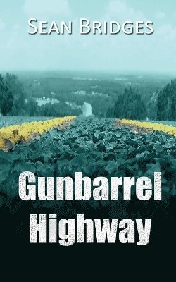 bokomslag Gunbarrel Highway