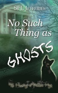 bokomslag No Such Thing as Ghosts