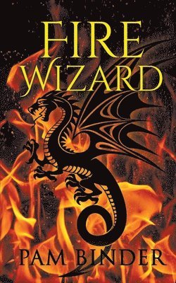 Pam Binder - Fire Wizard, Häftad