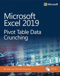 bokomslag Microsoft Excel 2019 Pivot Table Data Crunching