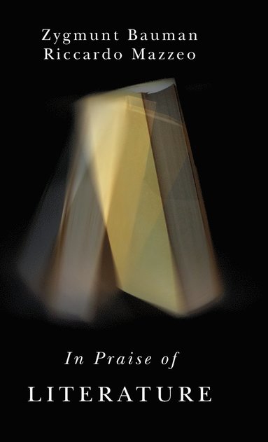 Zygmunt Bauman, Riccardo Mazzeo - In Praise of Literature, Inbunden
