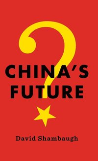 bokomslag China's Future