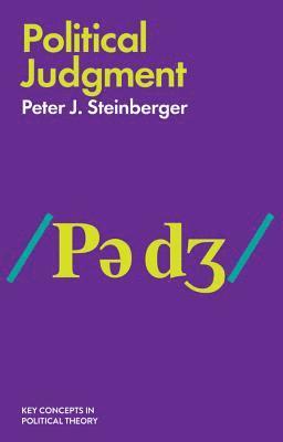Peter J. Steinberger - Political Judgment, Inbunden