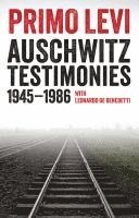 bokomslag Auschwitz Testimonies