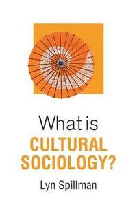 bokomslag What is Cultural Sociology?