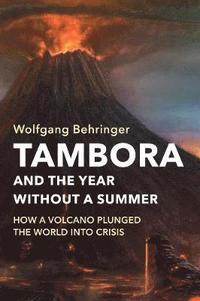 bokomslag Tambora and the Year without a Summer