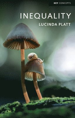 Lucinda Platt - Inequality, Häftad