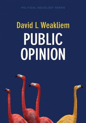 Public Opinion 1