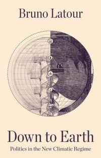 bokomslag Down to Earth: Politics in the New Climatic Regime