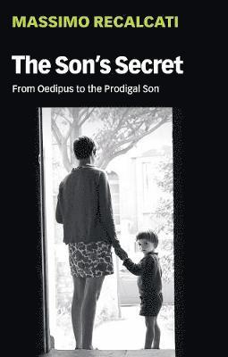 bokomslag Son's Secret