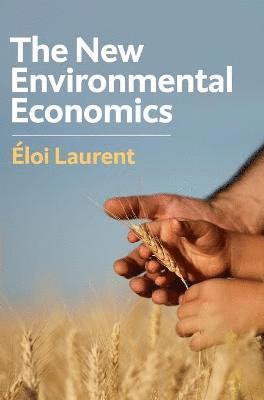 bokomslag New Environmental Economics