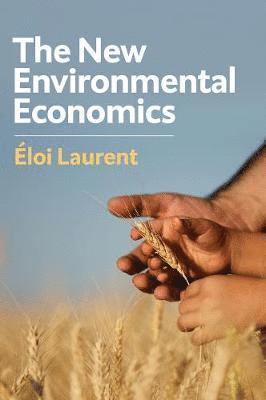bokomslag New Environmental Economics