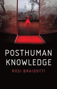 bokomslag Posthuman Knowledge