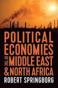 bokomslag Political Economies of the Middle East and North Africa