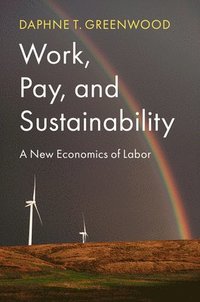 bokomslag Work, Pay, and Sustainability