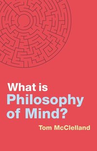 bokomslag What is Philosophy of Mind?