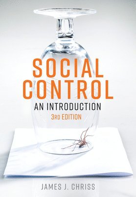 bokomslag Social Control