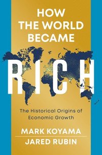 bokomslag How the World Became Rich