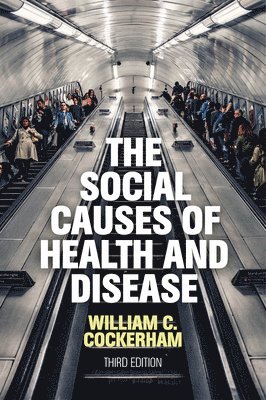 bokomslag Social Causes of Health and Disease