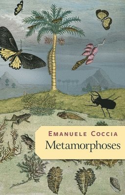 bokomslag Metamorphoses