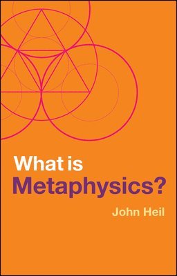 bokomslag What is Metaphysics?