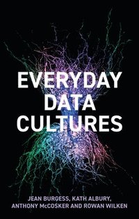 bokomslag Everyday Data Cultures