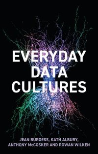 bokomslag Everyday Data Cultures