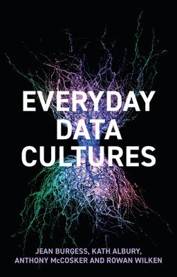 bokomslag Everyday Data Cultures