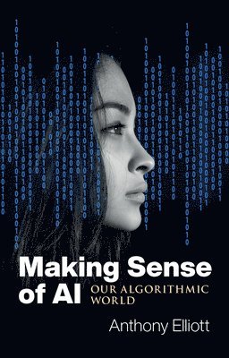 bokomslag Making Sense of AI