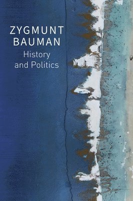 Zygmunt Bauman, Mark Davis, Jack Palmer, Dariusz Brzezinski, Thomas Campbell - History and Politics, Häftad