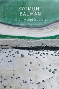 bokomslag Theory and Society