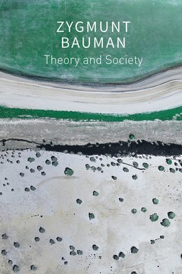Zygmunt Bauman, Thomas Campbell, Dariusz Brzezinski, Mark Davis, Jack Palmer - Theory and Society, Häftad