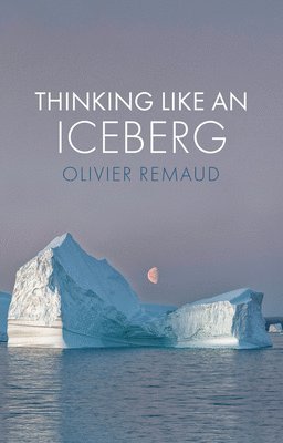 Thinking Like an Iceberg 1