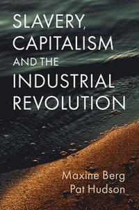 bokomslag Slavery, Capitalism and the Industrial Revolution