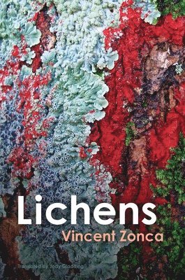 Vincent Zonca - Lichens, Häftad