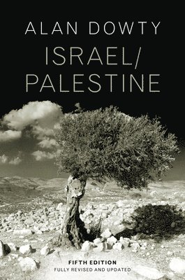 Alan Dowty - Israel / Palestine, Häftad