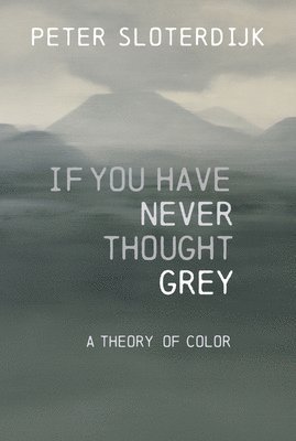 bokomslag If You Have Never Thought Grey