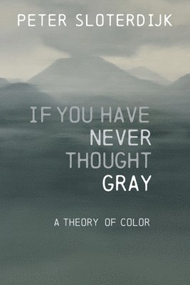 Peter Sloterdijk - If You Have Never Thought Gray, Häftad